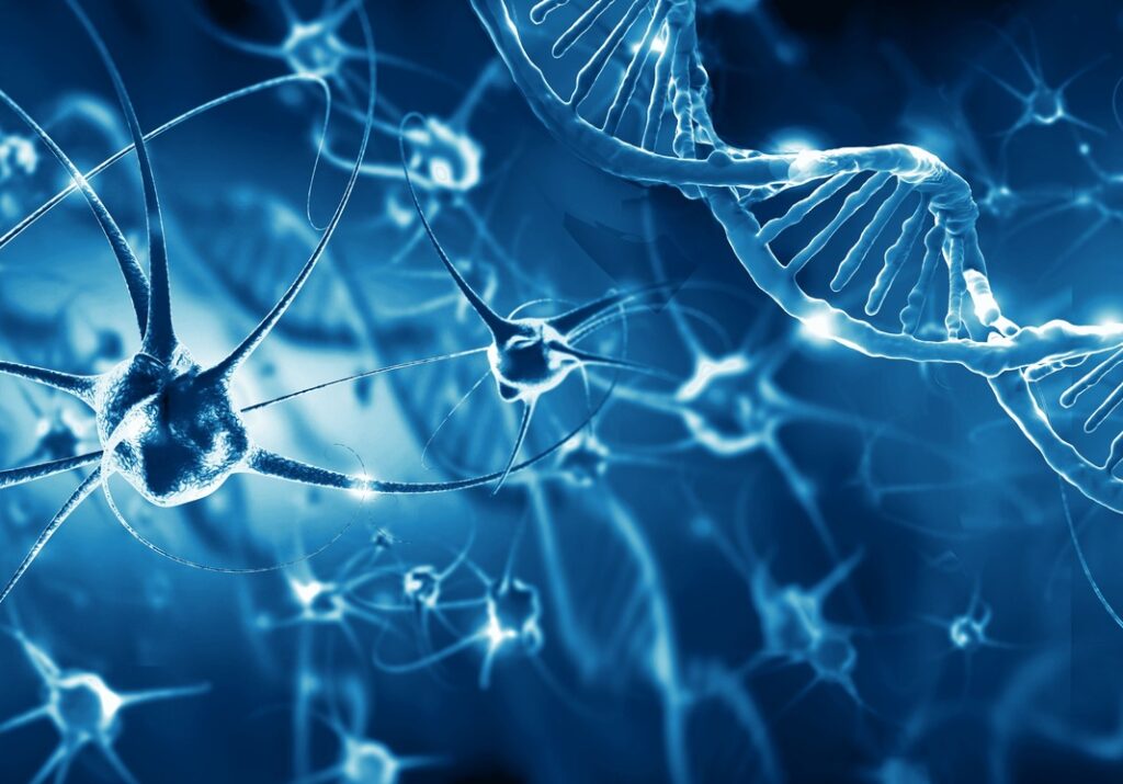 Neuronen & DNA in blauem Licht