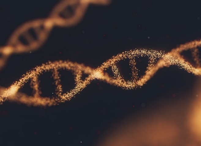 genetik_endokrinologie