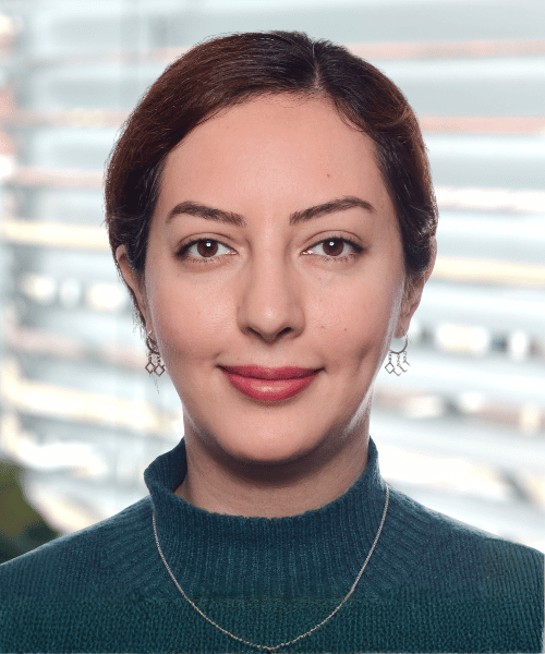 Marjan Hosseini